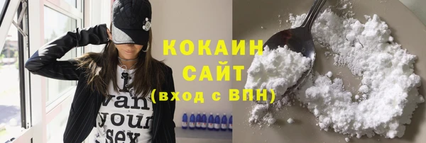 крисы Вязьма