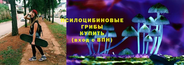 гашик Балахна