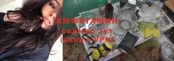 гашик Балахна