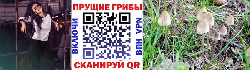 Галлюциногенные грибы прущие грибы  купить   Белёв 